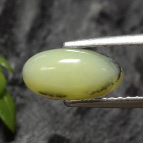Opale mousse dendrite jaune naturelle coupe ovale, 1,12 ct, translucide