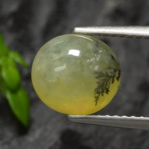 Opale mousse Dendrite jaune naturelle Coupe ovale, 1.93 ct, Translucide