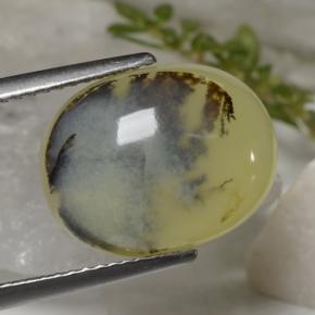Opale mousse jaune naturelle coupe ovale, 6,23 ct, translucide