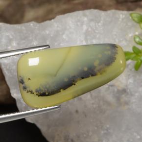 Opale mousse Dendrite jaune naturelle Forme fantaisie, 8.75 ct, Translucide