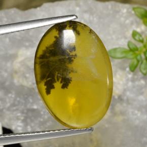 Opale mousse Dendrite jaune naturelle Coupe ovale, 6.54 ct, Translucide