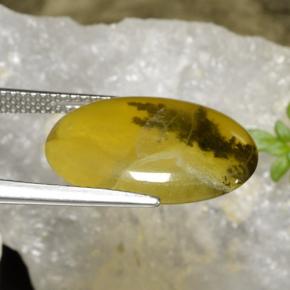 Opale mousse Dendrite jaune naturelle Coupe ovale, 6.54 ct, Translucide