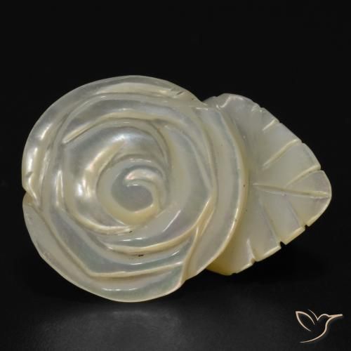 Nacre Blanc perle naturelle Taille Fleur, 17.50 ct, Opaque