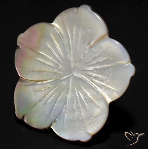 24.27ct Naturel Blanc Nacre, Taille Fleur, Opaque
