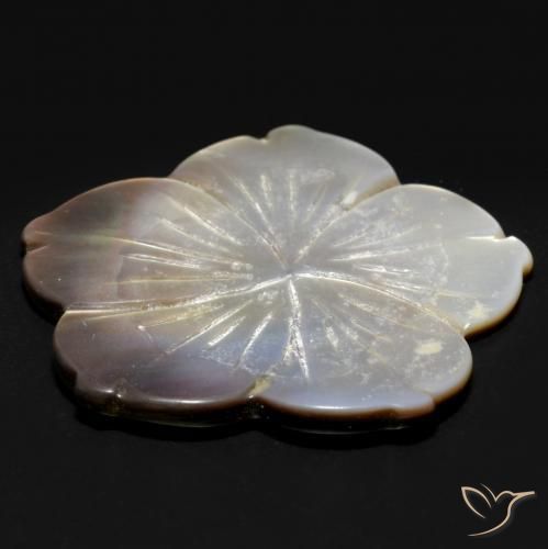 Nacre Blanc naturelle Taille Fleur, 24.27 ct, Opaque