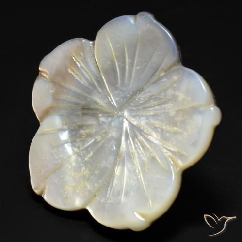 Nacre Blanc naturelle Taille Fleur, 29.23 ct, Opaque