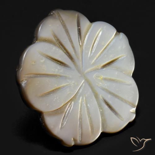 Nacre Enfumé naturelle Taille Fleur, 14.21 ct, Opaque