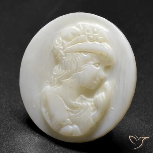 Nacre Blanc perle naturelle Tour, 14.65 ct, Opaque