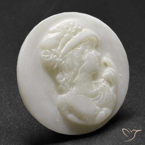 Nacre Blanc perle naturelle Tour, 14.65 ct, Opaque