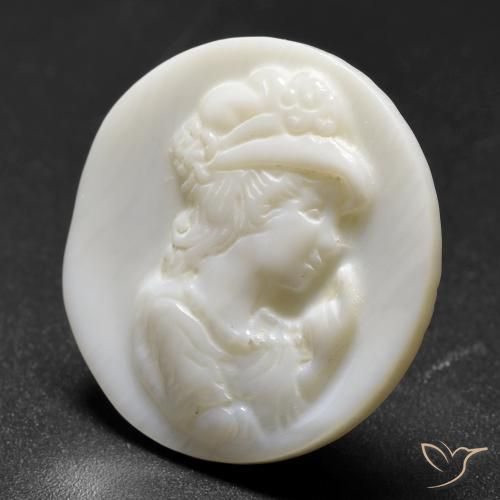 Nacre Blanc perle naturelle Tour, 13.87 ct, Opaque