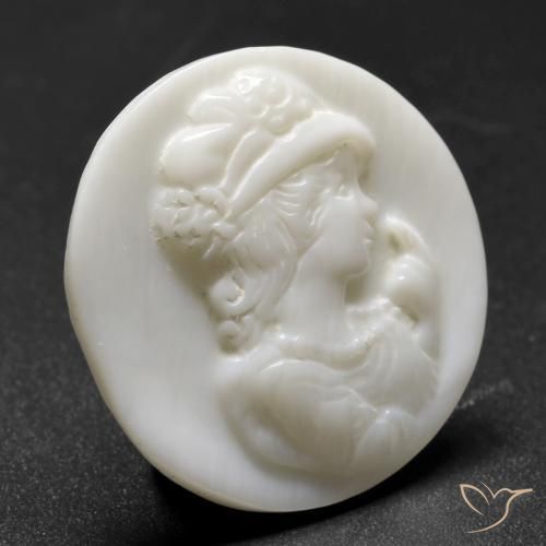 Nacre Blanc perle naturelle Tour, 13.87 ct, Opaque