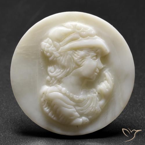 Nacre Blanc perle naturelle Tour, 16.21 ct, Opaque