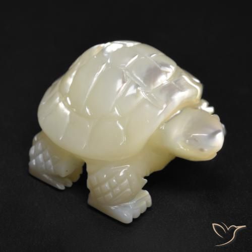Nacre Blanc perle naturelle Fantaisie, 19.50 ct, Opaque