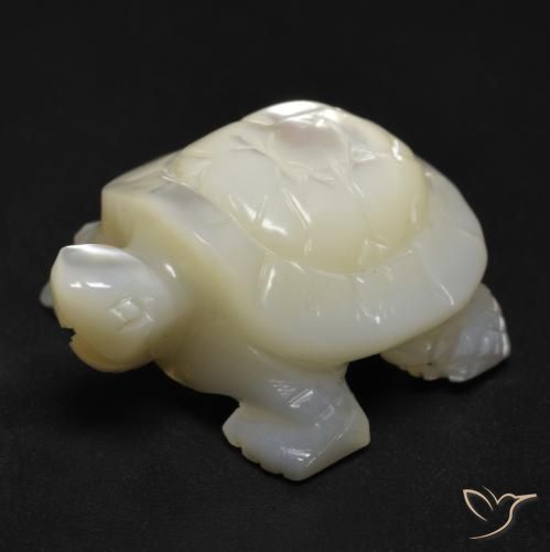 Nacre Blanc perle naturelle Fantaisie, 18.53 ct, Opaque