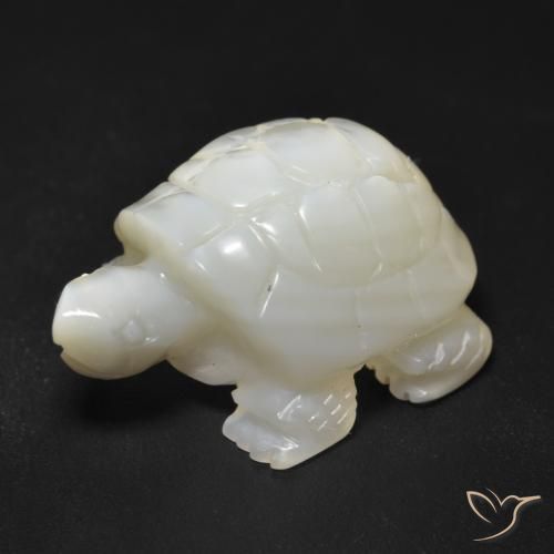 Nacre Blanc perle naturelle Fantaisie, 23.34 ct, Opaque
