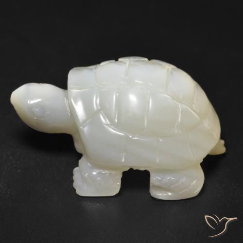 Nacre Blanc perle naturelle Fantaisie, 23.34 ct, Opaque