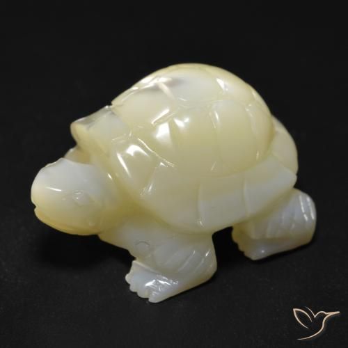 Nacre Blanc perle naturelle Fantaisie, 22.57 ct, Opaque