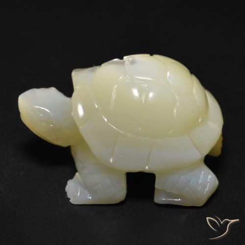 Nacre Blanc perle naturelle Fantaisie, 22.57 ct, Opaque