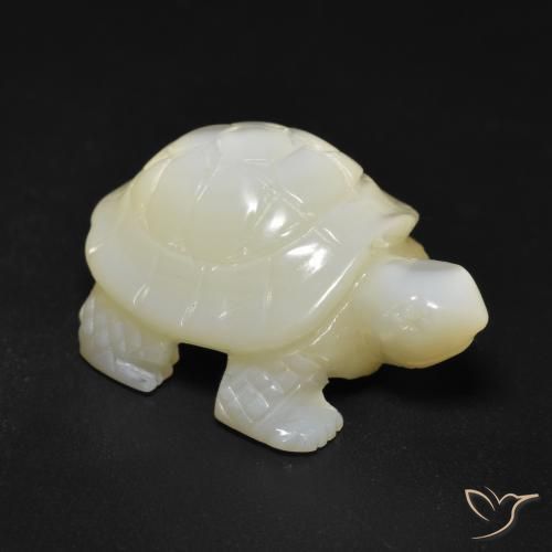 Nacre Blanc perle naturelle Fantaisie, 22.16 ct, Opaque