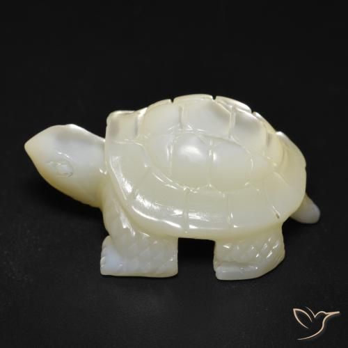 Nacre Blanc perle naturelle Fantaisie, 22.16 ct, Opaque