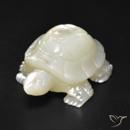 Nacre Blanc perle naturelle Fantaisie, 17.57 ct, Opaque