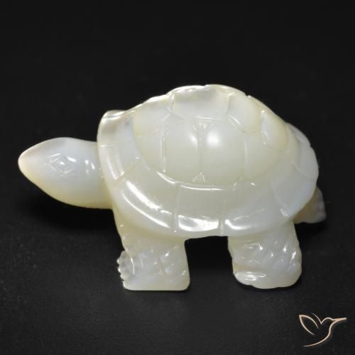 Nacre Blanc perle naturelle Fantaisie, 17.57 ct, Opaque