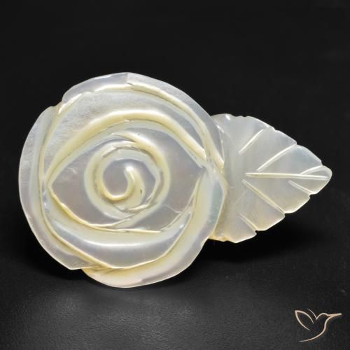 Nacre Blanc perle naturelle Taille Fleur, 18.01 ct, Opaque