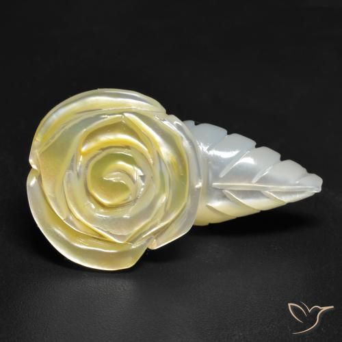 Nacre Jaune clair naturelle Taille Fleur, 20.91 ct, Opaque