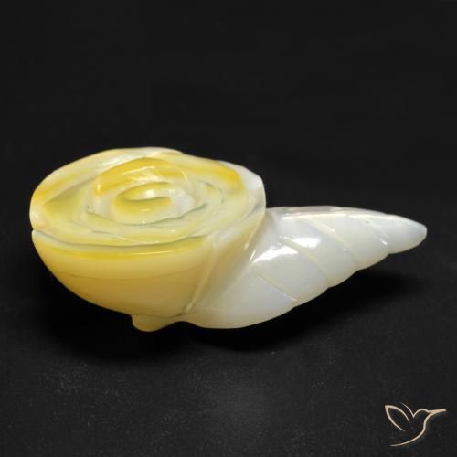 Nacre Jaune clair naturelle Taille Fleur, 20.91 ct, Opaque