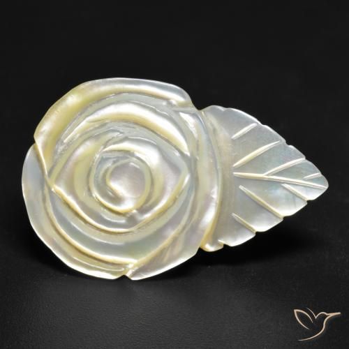 16.46ct Naturel Blanc perle Nacre, Taille Fleur, Opaque