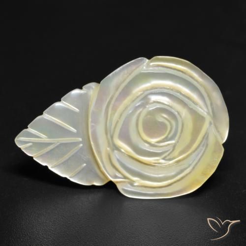 Nacre Blanc perle naturelle Taille Fleur, 16.46 ct, Opaque