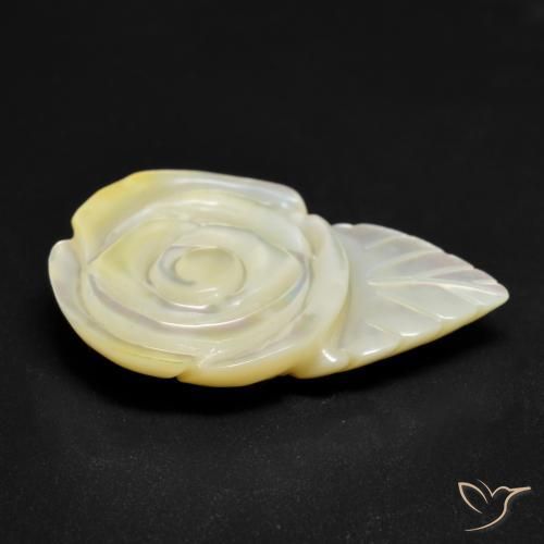 Nacre Blanc perle naturelle Taille Fleur, 16.46 ct, Opaque