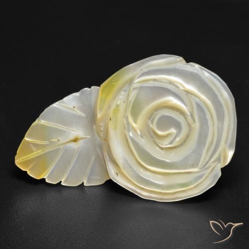Nacre Jaune clair naturelle Taille Fleur, 16.60 ct, Opaque