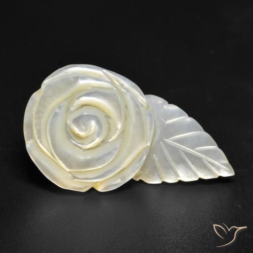 Nacre Blanc perle naturelle Taille Fleur, 18.49 ct, Opaque