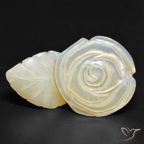 Nacre Blanc perle naturelle Taille Fleur, 19.38 ct, Opaque