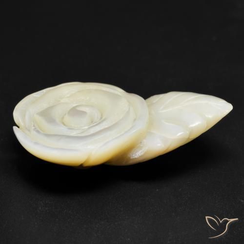 Nacre Blanc perle naturelle Taille Fleur, 19.38 ct, Opaque