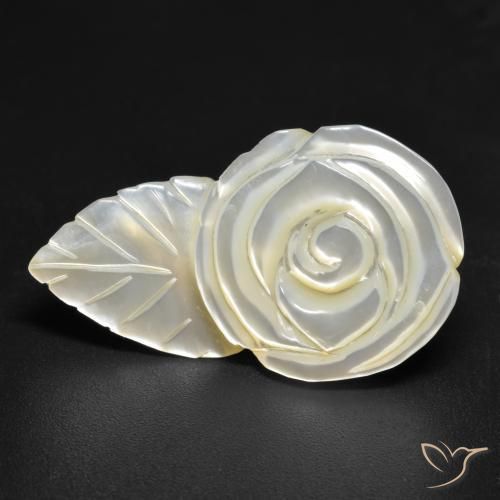 Nacre Blanc perle naturelle Taille Fleur, 17.26 ct, Opaque