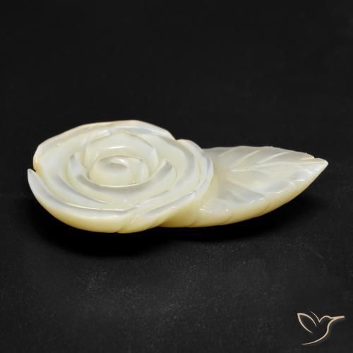 Nacre Blanc perle naturelle Taille Fleur, 17.26 ct, Opaque