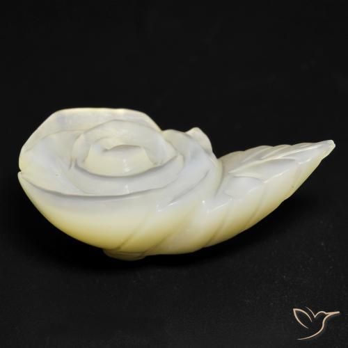 Nacre Blanc perle naturelle Taille Fleur, 15.19 ct, Opaque