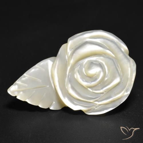 Nacre Blanc perle naturelle Taille Fleur, 12.59 ct, Opaque