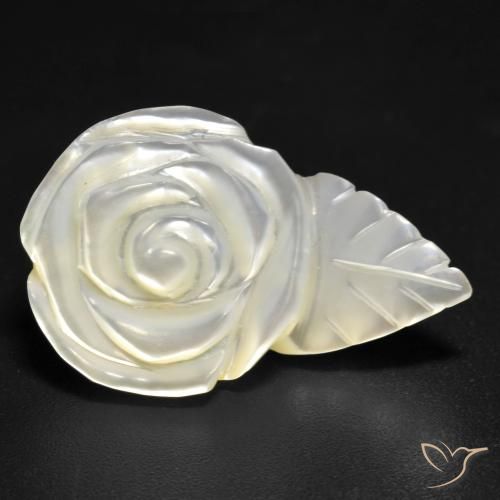 Nacre Blanc perle naturelle Taille Fleur, 12.59 ct, Opaque