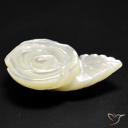 Nacre Blanc perle naturelle Taille Fleur, 12.59 ct, Opaque