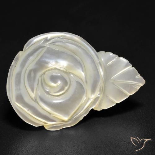 Nacre Blanc perle naturelle Taille Fleur, 15.15 ct, Opaque