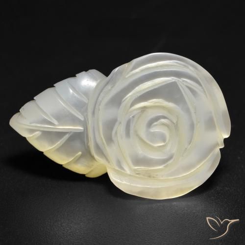 Nacre Blanc perle naturelle Taille Fleur, 14.21 ct, Opaque