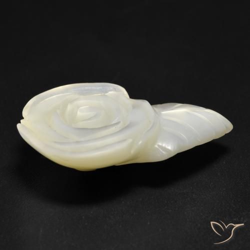 Nacre Blanc perle naturelle Taille Fleur, 14.21 ct, Opaque