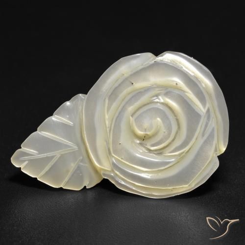 Nacre Blanc perle naturelle Taille Fleur, 14.48 ct, Opaque