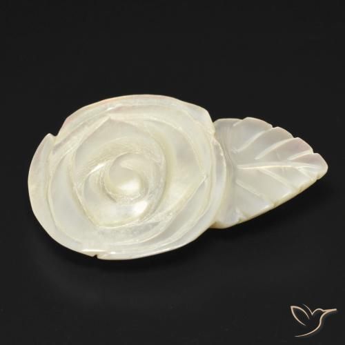 Nacre Blanc perle naturelle Taille Fleur, 13.65 ct, Opaque