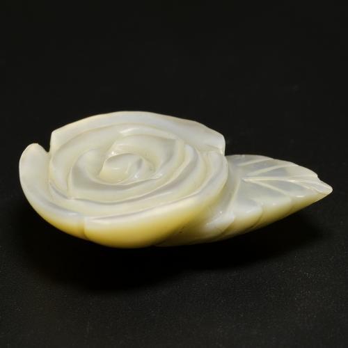 Nacre blanc naturelle taille fleur, 16,68 ct, opaque