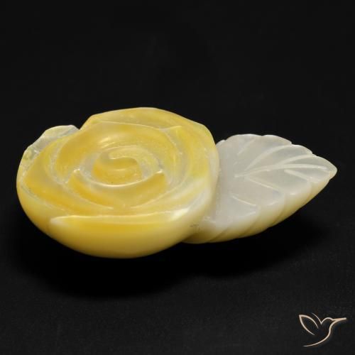 Nacre Jaune moyen naturelle Taille Fleur, 21.40 ct, Opaque