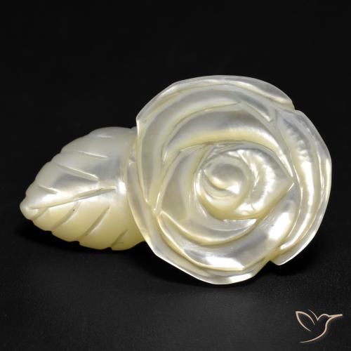 19.04ct Naturel Blanc perle Nacre, Taille Fleur, Opaque